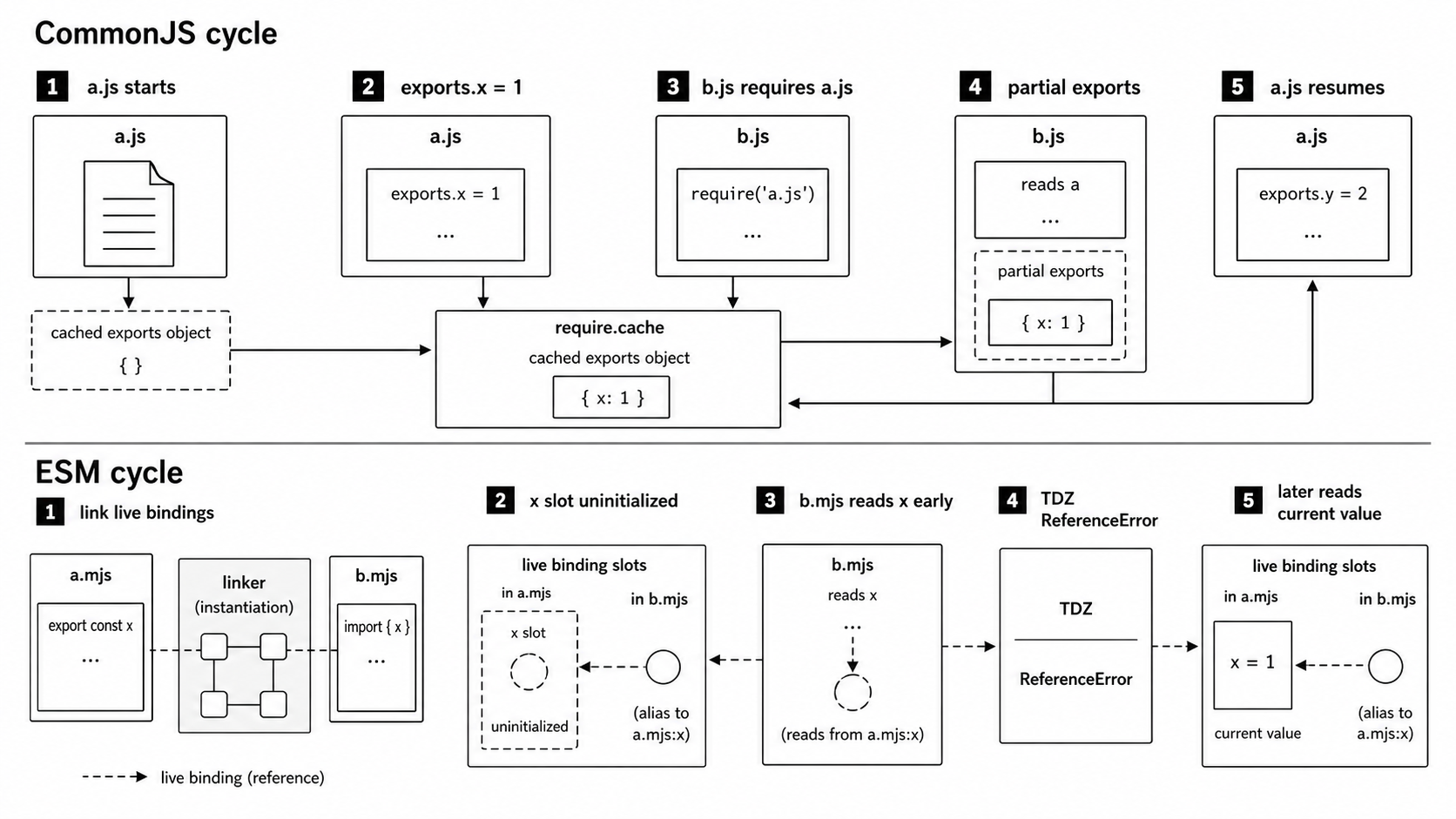 Cycle timing diagram comparing a CommonJS partial exports object with ES module live bindings and an early temporal-dead-zone read.