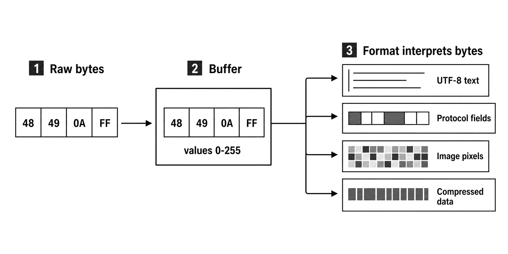 A sequence of byte cells entering a Buffer handoff before branching into several format interpretations.