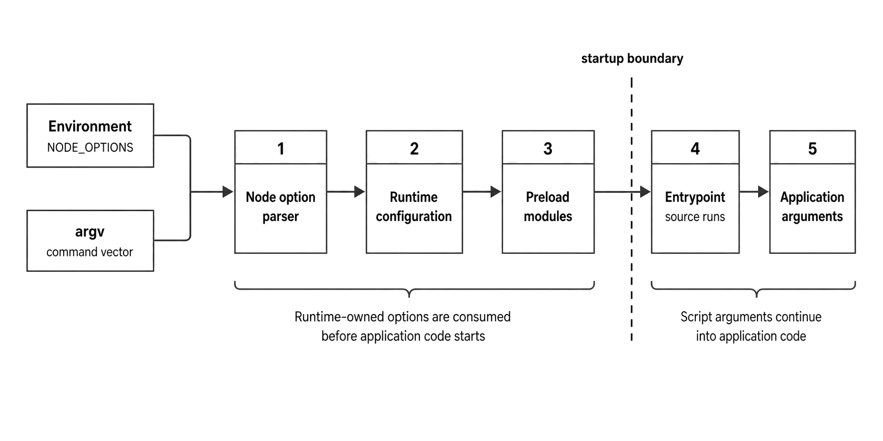 Node startup pipeline separating environment options, command-line flags, preloads, the entrypoint, and application arguments.